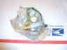 0720-002 Arctic Jag Speedo Brand Drive Super Panther Adapter Cat