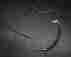 1602-204 Arctic Cat Brake Line Mountain