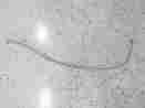 2204038 Polaris Snowmobile 2010-2016 Pro-ride Chassis Brake Line