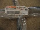 240105sta62 Arrowhead Wild Boar Starter