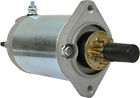 240105sta66 Arrowhead Wild Boar Starter
