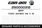 250000312 Brp 2008 2009 Ski-doo
