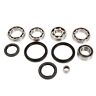326270 Kimpex Hd Differencial Bearing Repair Kit Fits Arctic 779420804016