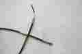414-2469-00 414246900 2469 Ski-doo 1980 Skidoo Blizzard 7500 Brake Cable Oem Control Line Wire Caliper Handle