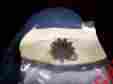 420834521 420834522 Ski-doo Ski Doo Snowmobile 2004 Elite Electric Start 9 Tooth Starter Gear New