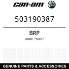 503190387 Brp Skandic Shaft