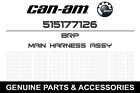515177126 Brp 2012 Ski-doo Tundra