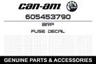 605453790 Brp 2007 2010 Ski-doo