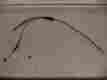 7080889 Polaris 2000 Rmk 700 Gen Ii Throttle Cable 600
