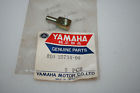 810-25734-90249-06012 Yamaha Nos Snowmobile Brake Caliper Pin