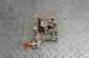 3576678 Kx125 Kawasaki 1999 Kx 125 Rear Brake Caliper