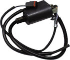 Sm-01150 Mx Z 600 Ho Spi External Ignition Coil For