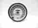 O0i7968795356 Ski-doo Skidoo Speedometer Gauge 130 Mph Bombardier Clean Working