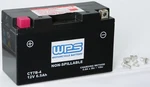 Fire Power Wps Battery Sealed CT7B-4 Factory Activated. Fixed Price $56.84.
