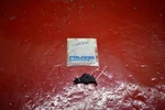 New Oem Polaris Parking Brake Lever 5222310. Fixed Price $12.99.