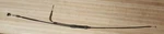 0687-009 Arctic Cat Throttle Cable 1990 Jag Deluxe New Oem. Fixed Price $69.99.