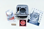 1998-2005 Arctic Cat 300 Oem Cylinder Jug W/ New Piston & Top End Kit. Fixed Price $548.99.