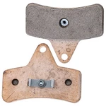 Polaris 2206831 Brake-pads Part. Fixed Price $54.95.