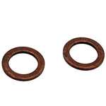 Polaris Copper Crush Washer Kit, 2203393. Fixed Price $29.99.