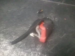 2006 Polaris Master Cylinder Assembly # 2203078 Iq Switchback Fusion Rmk. Fixed Price $89.95.