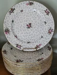 12 Royal Doulton Sweet Chintz Dinner Plates 8534 C1922-56 Marshall Field & Co. Fixed Price $195.00.