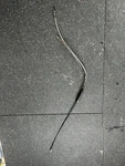 Ski Doo Mxz Legend Formula Deluxe Grand Touring Oem Throttle Cable. Fixed Price $17.50.