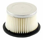 Raisman Air Filter Compatible With Tecumseh 30727 / John Deere AM30900 Lesco. Fixed Price $8.98.