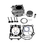 Polaris Sportsman 550 (09-14) Master Top End Rebuild Kit. Fixed Price $499.99.
