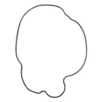 Polaris Gland Seal, Head, For Snowmobile Models, Genuine Oem - 5413036. Fixed Price $16.50.