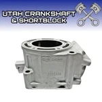 New Plated Oem Polaris 600 Cylinder 2010-2017 Rush Pro Ride Switchback 3022206. Fixed Price $485.99.