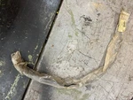 Yamaha Tachometer Cable M6-011 1E6-83560-52-00 RW6386. Fixed Price $27.94.
