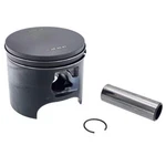 Polaris Piston Kit, 2203512. Fixed Price $209.99.